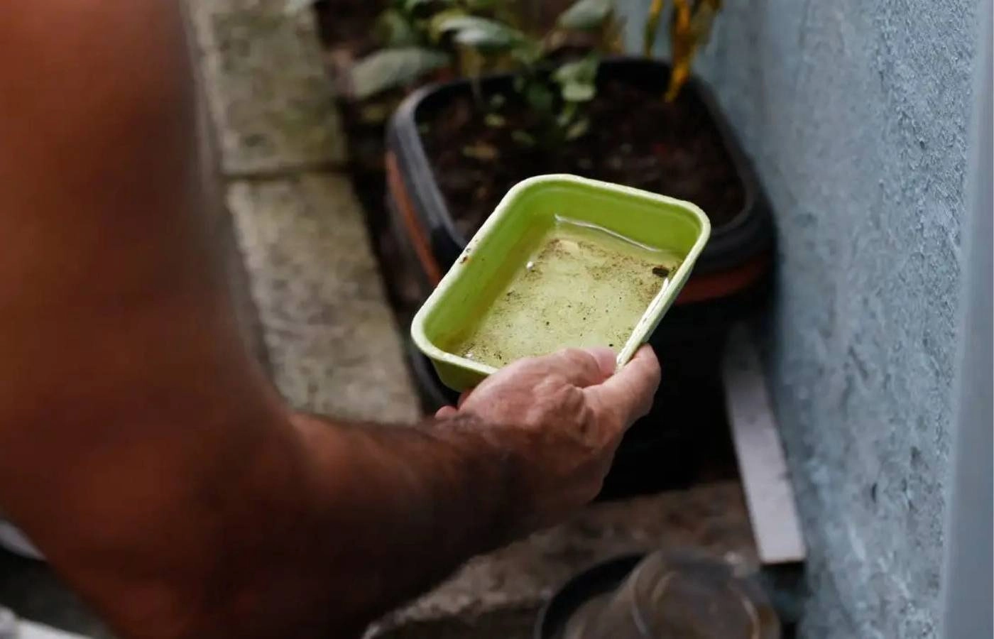 Quase metade dos municípios está em alerta ou risco para presença do Aedes aegypti