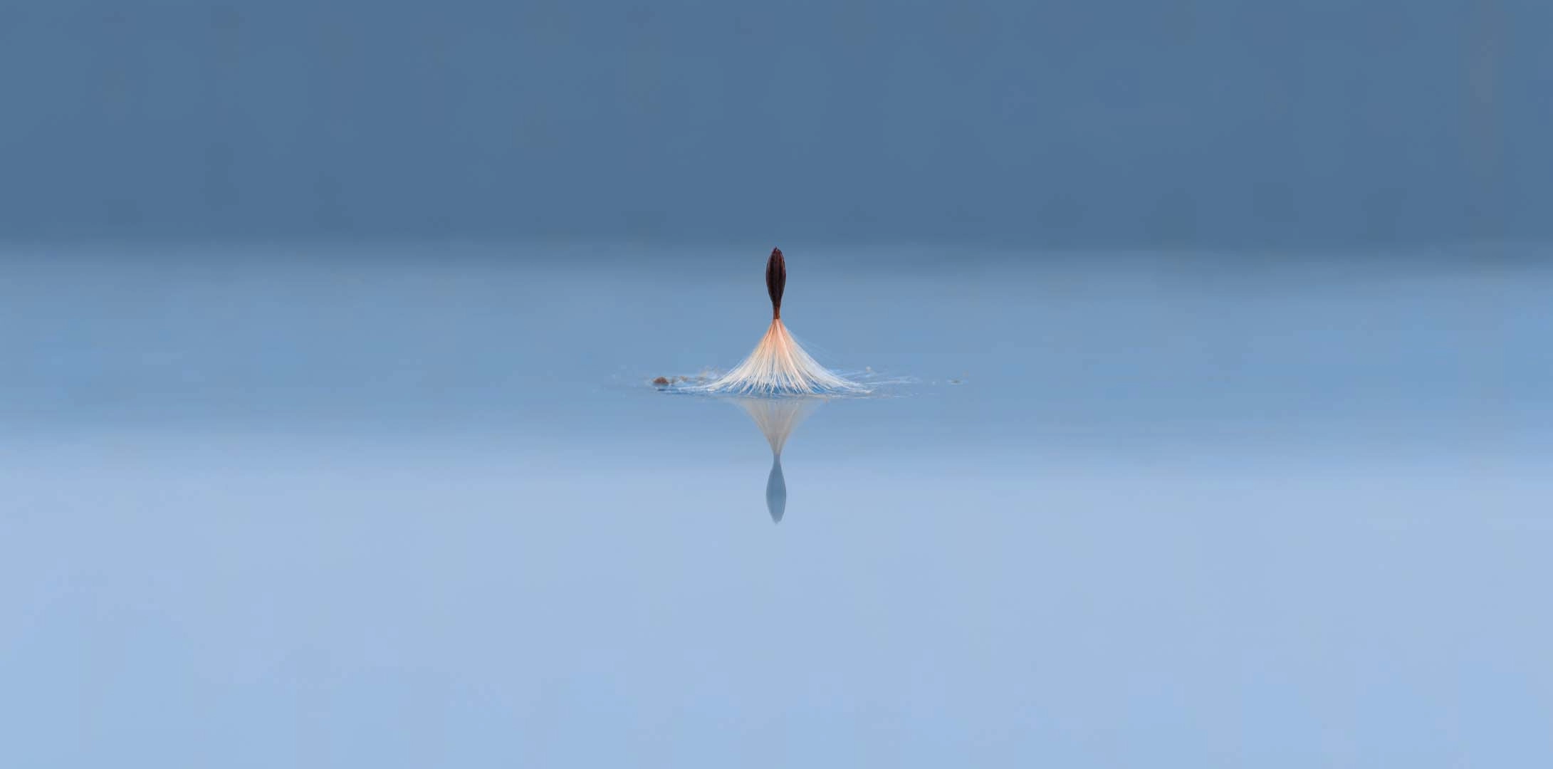 Fotógrafo Bruno Guerchon faz sua primeira exposição individual