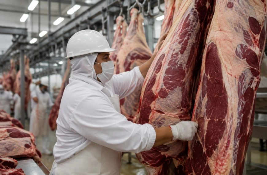 Mais de 90% dos frigoríficos auditados em MT cumprem TAC da Carne, afirma MPF