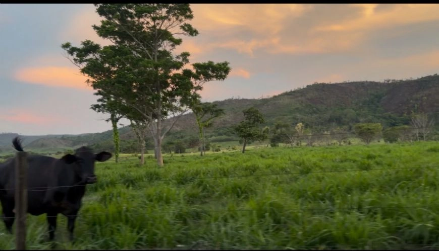 Justiça nega ingresso de associação e mantém desocupação parcial da Terra Indígena Urubu Branco em Confresa (MT)