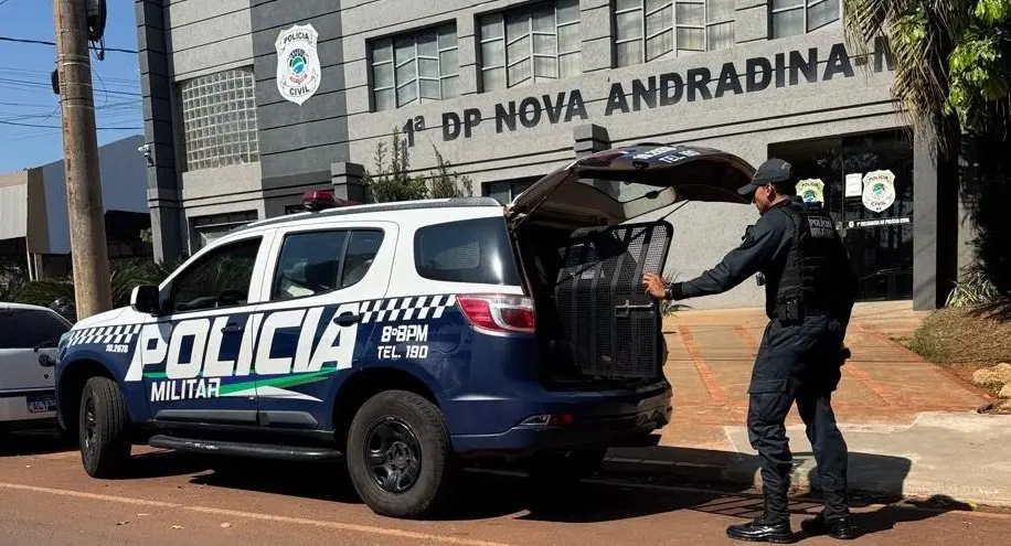 Jovem é detido após arrombar loja de variedades e furtar R$ 600 no centro de Nova Andradina