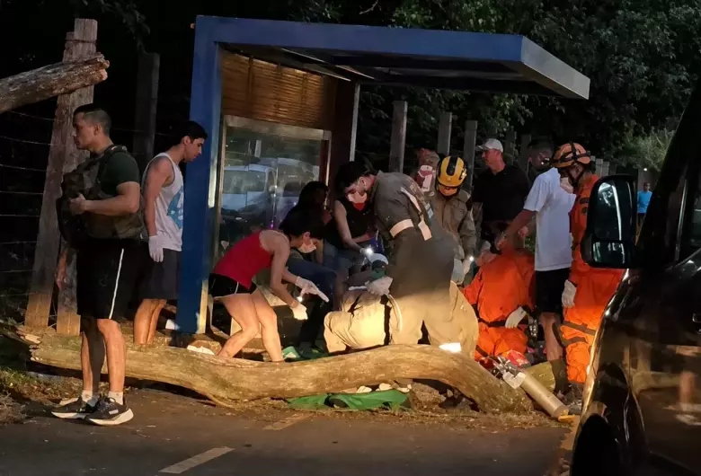 Jovem morre após ser atingida na cabeça por queda de árvore