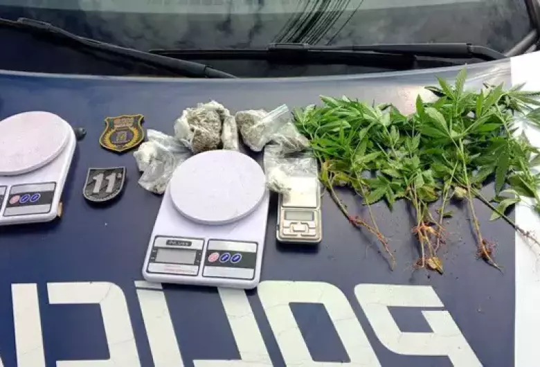 Suspeito de plantar maconha em terreno baldio é preso