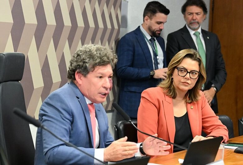Leila diz que apresenta relatório da MP da 'taxa das blusinhas' na segunda