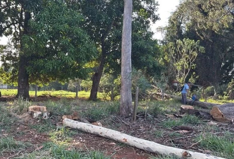 Trabalhador morre eletrocutado enquanto podava árvore