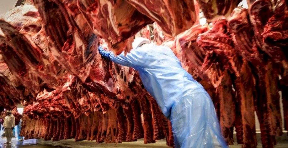 Exportações de carne bovina do Brasil caem 22% em agosto com forte recuo da China