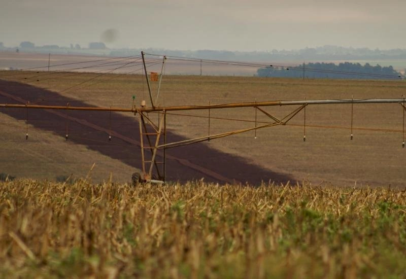 Colheita do milho 2ª safra chega a 94,9% da área acompanhada em Mato Grosso do Sul