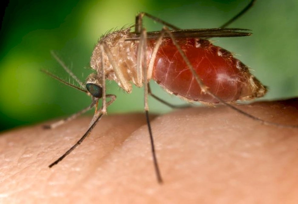 Antecipar-se às ameaças biológicas é uma questão de segurança sanitária | Claudio Lottenberg