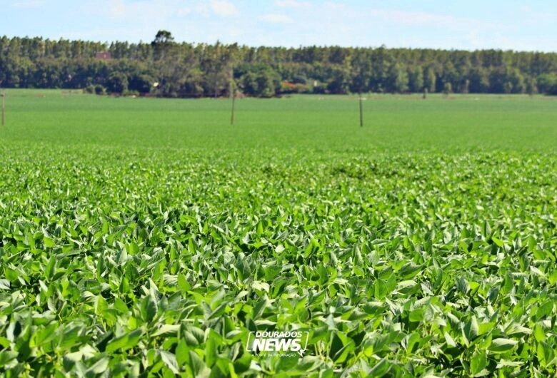 Valor Bruto da Produção supera R$ 1,4 trilhão em agosto