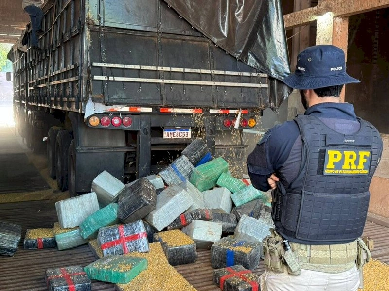 Polícia encontra 5,2 toneladas de maconha escondidas em carga de milho