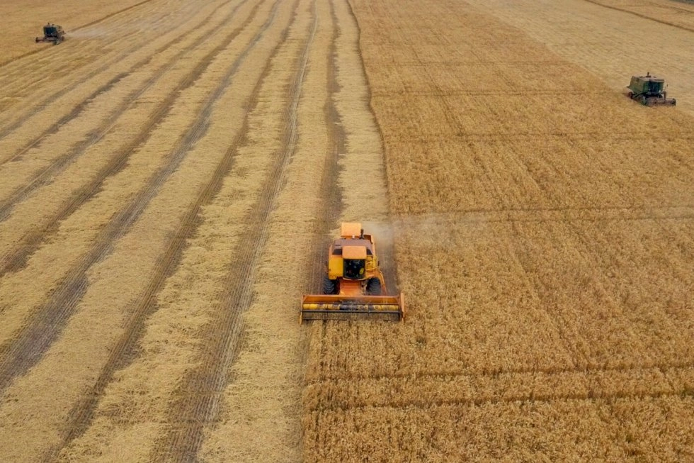 Produção global de soja cresce, mas consumo mantém mercado ajustado em 2026/27