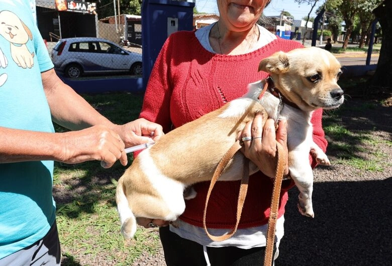 Prefeitura leva vacinação antirrábica para diversos bairros e ao Distrito de Vila Vargas