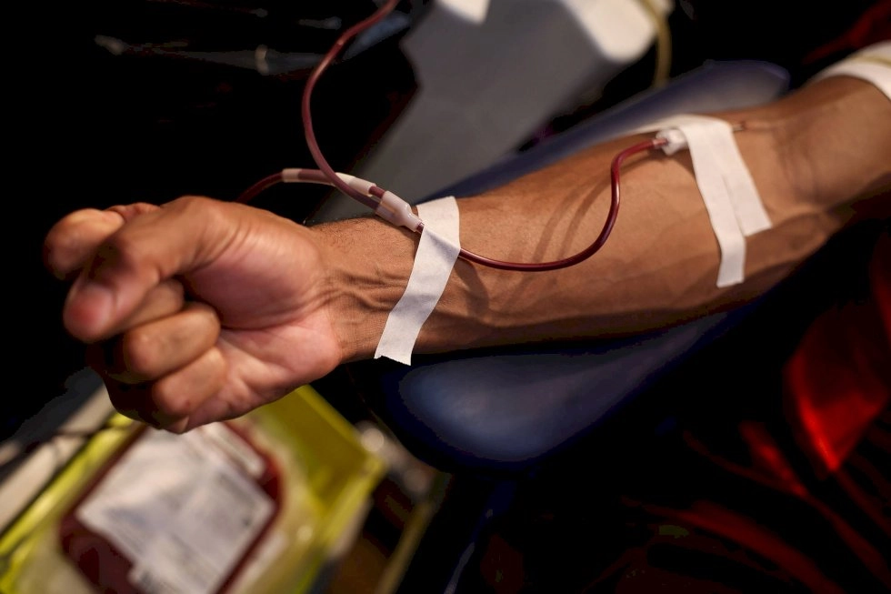 Testemunhas de Jeová flexibilizam doação e recebimento de sangue; transfusão total continua proibida
