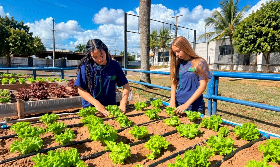 Ensino técnico transforma descoberta em projeto de futuro para jovens de Mato Grosso do Sul