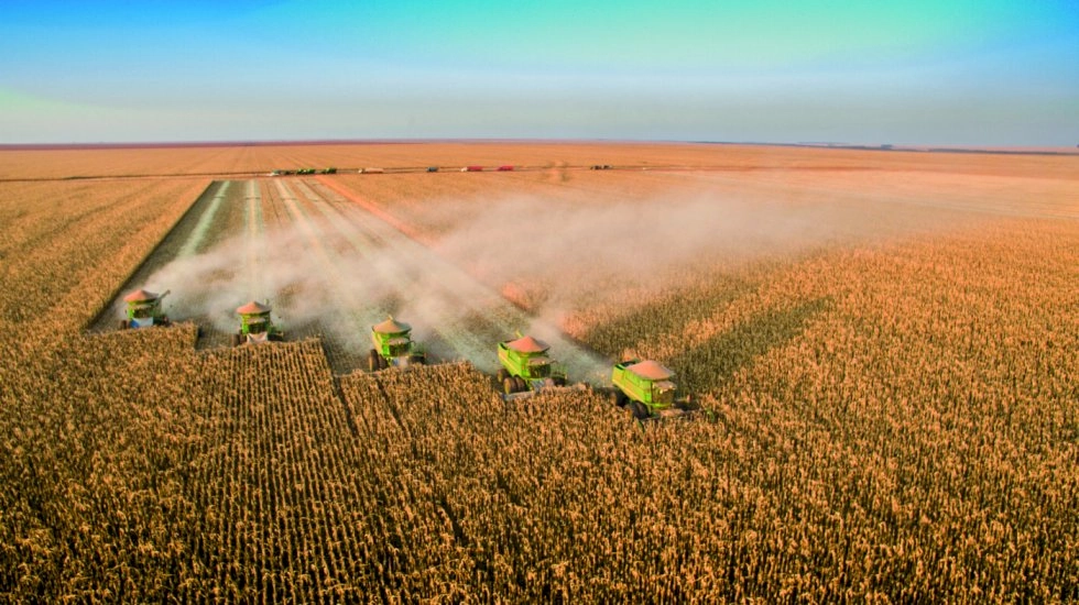 Produção agrícola brasileira bate recorde de R$ 927,2 bilhões em 2025