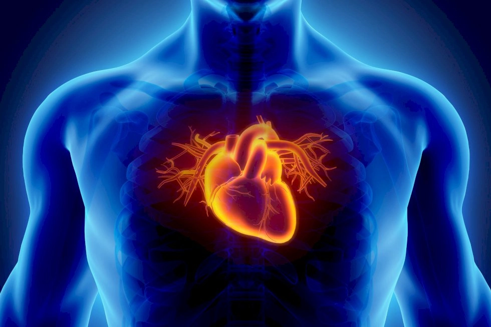 Japão realiza primeira cirurgia cardíaca com células-tronco