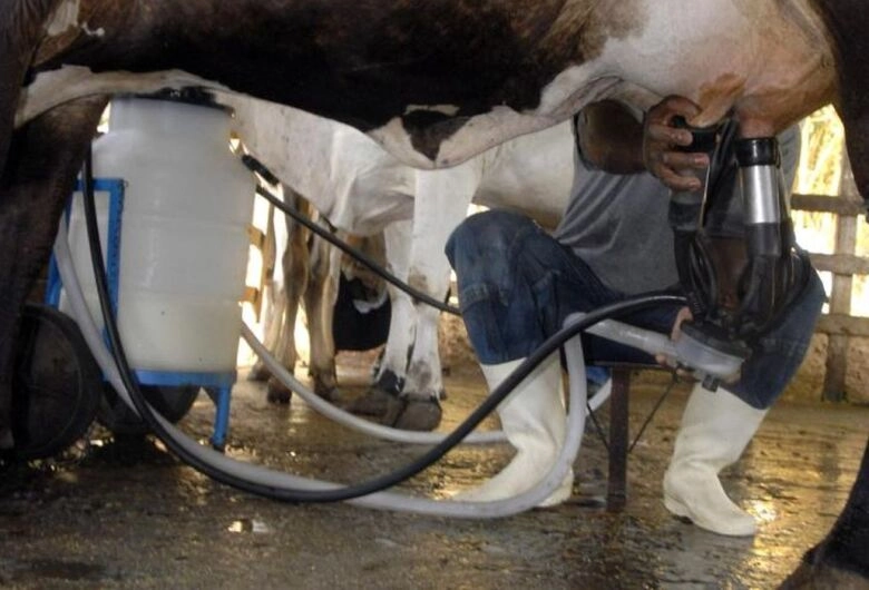 Produção de leite bate recorde mesmo com redução de vacas ordenhadas