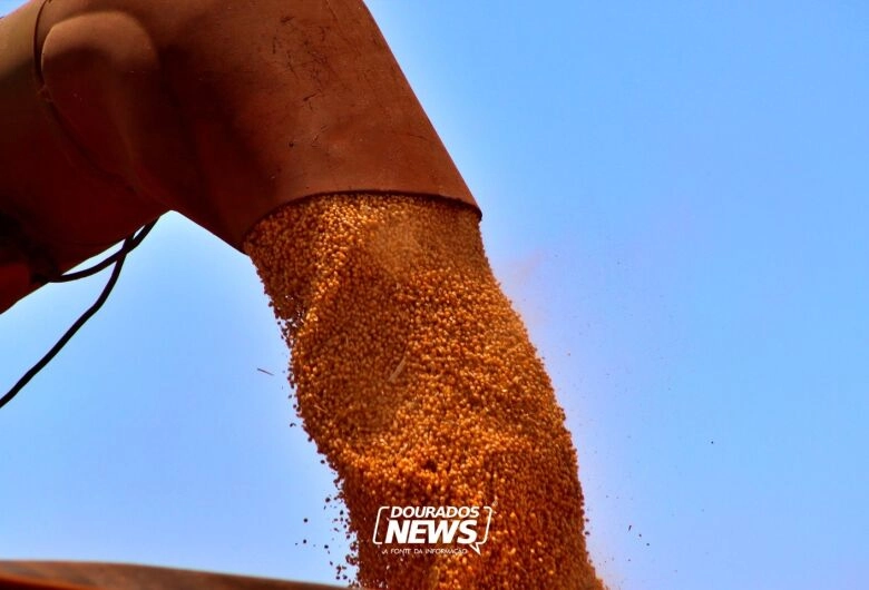 Produção agrícola brasileira superou R$ 927 bilhões em 2025
