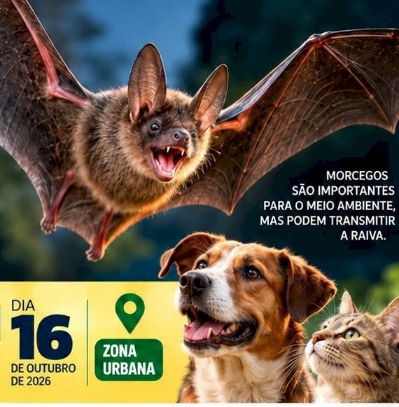 aquarussu realiza campanha de vacinação antirrábica de cães e gatos no dia 16 de outubro