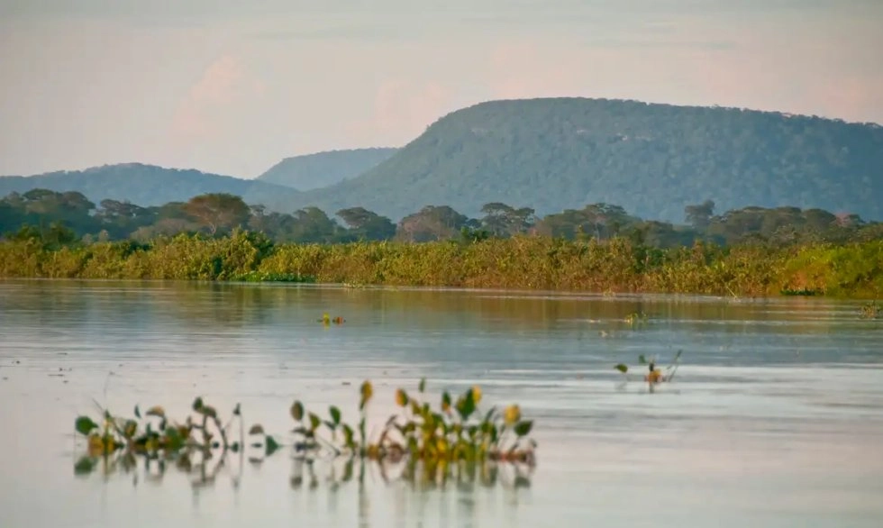 Agropecuária ocupa 48,9% do Cerrado após expansão de 51,2 milhões de hectares