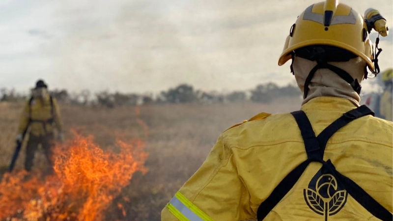 Bombeiros abrem 280 vagas para brigadistas florestais em Minas Gerais