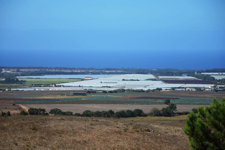 AMBIENTE: Plano Nacional de Restauro da Natureza está em consulta pública até amanhã