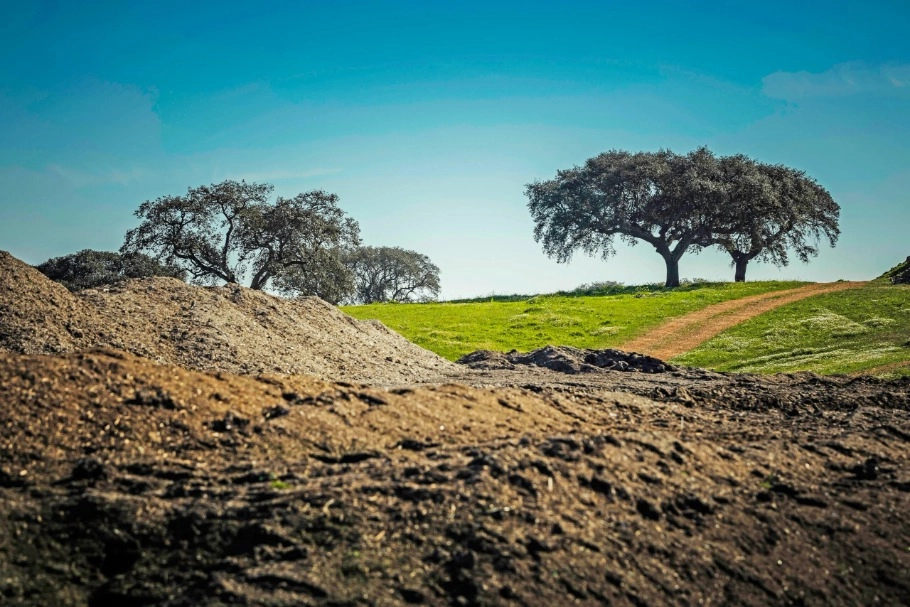 AMBIENTE: Resíduos urbanos transformam-se em fertilizante para solos alentejanos