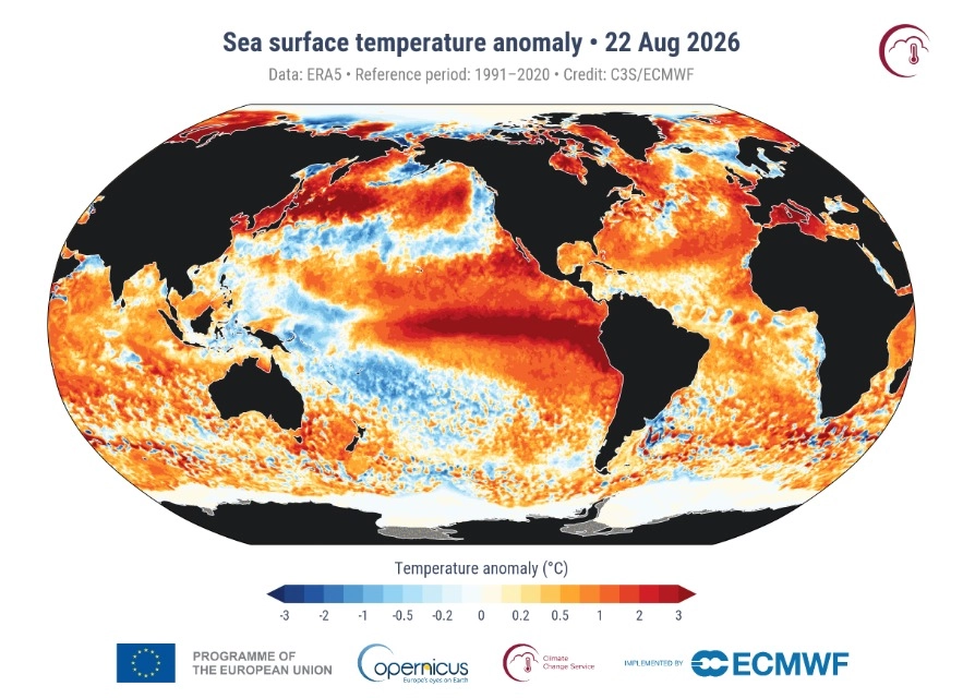 CIÊNCIA: Oceanos batem recorde de calor e acendem novo alerta global