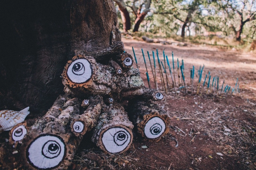 CULTURA: 6ª Edição do Festival Emraizart convida a experienciar as artes e a natureza