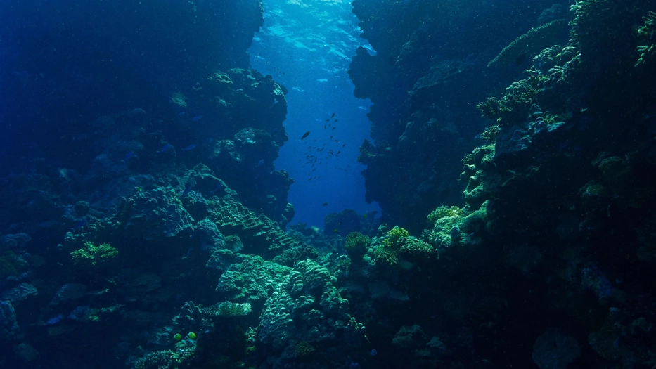 CCMAR ajuda Europa a preparar nova geração de observatórios do oceano