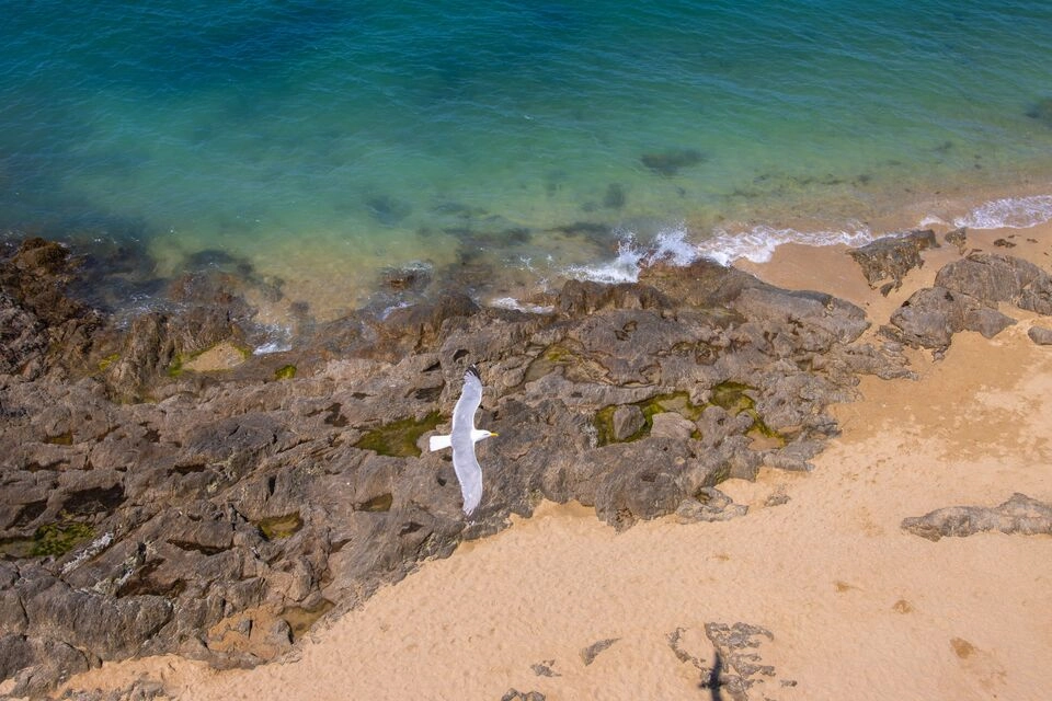 Alentejo quer “melhor ano de sempre” no turismo, depois de Verão positivo