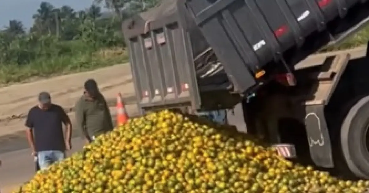 'Laranja na beira da estrada': produtores baianos se unem a sergipanos para enfrentar crise