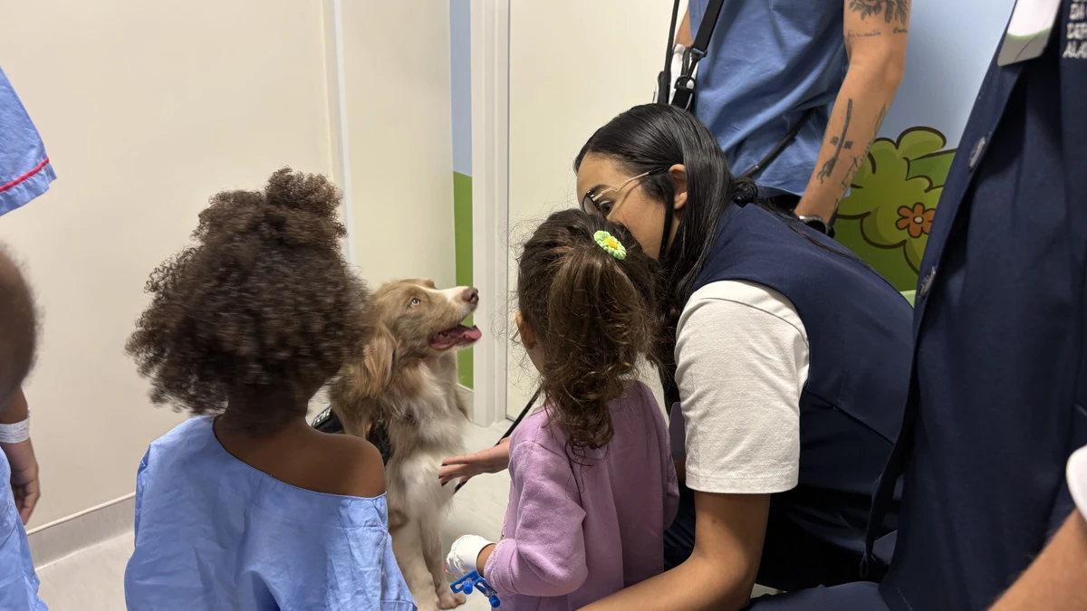 Bahia registra 27 hospitalizações de crianças e adolescentes por acidentes por dia; veja os principais riscos