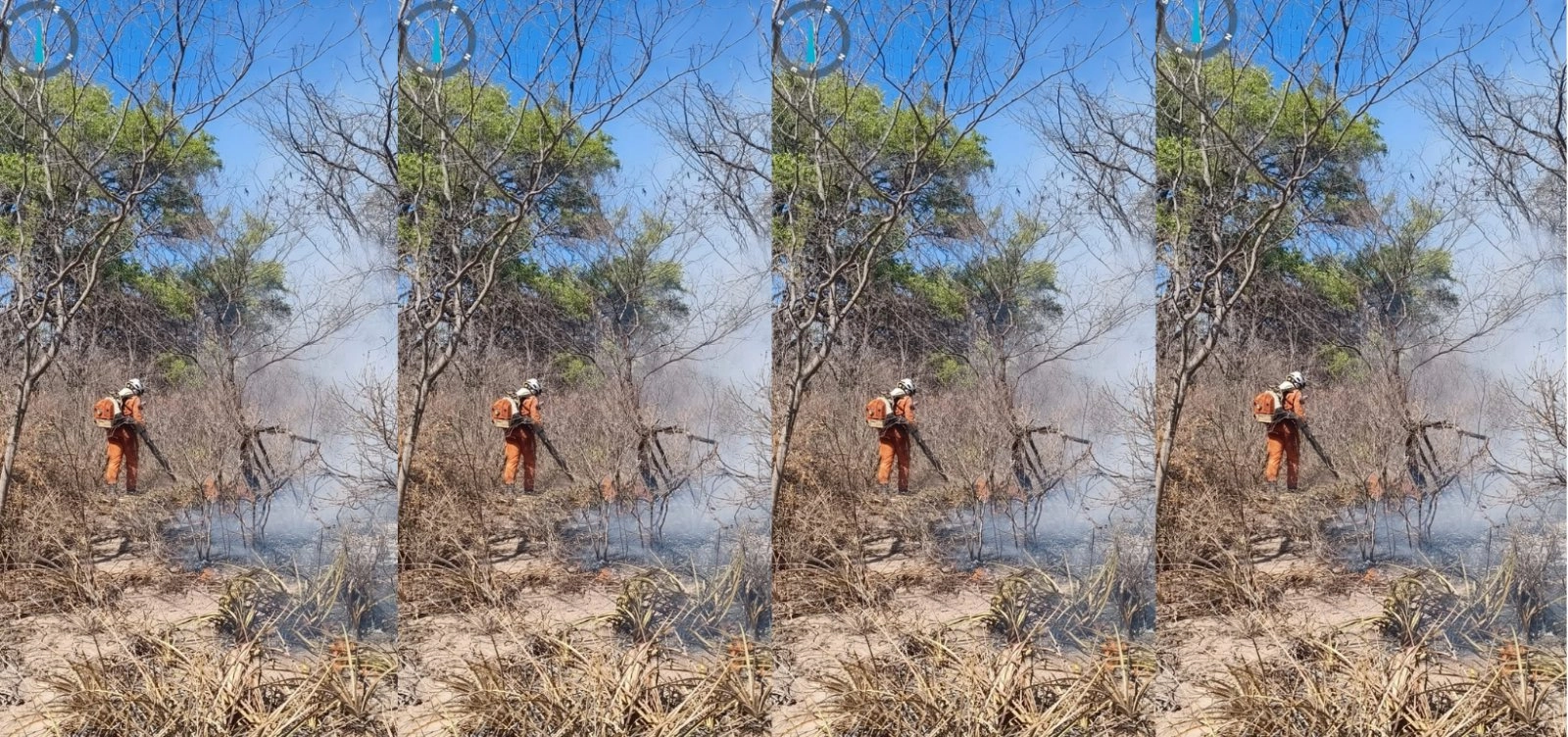 Bahia mobiliza 180 bombeiros para combater incêndios florestais em 11 municípios