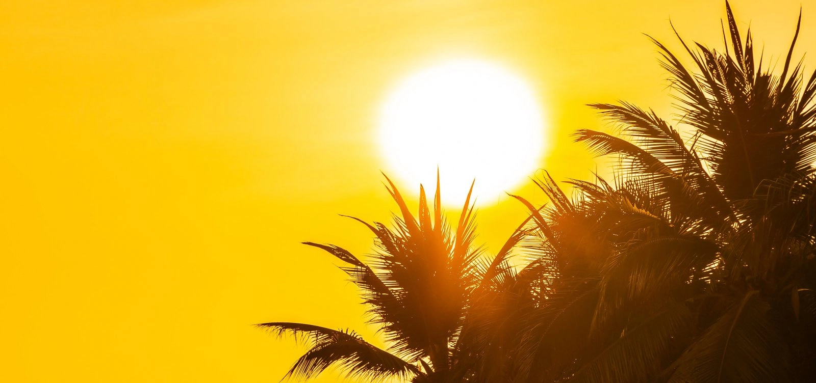 Calor de mais de 41 °C e ar seco devem atingir a Bahia nos próximos dez dias