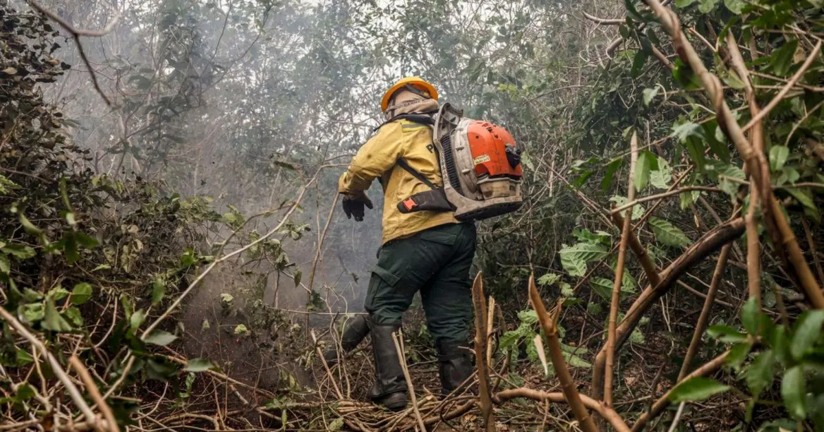 Incêndios do Amazonas indicam ação criminosa, diz ministro