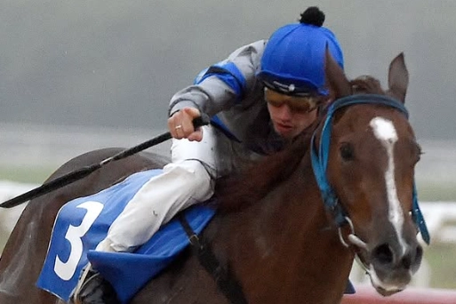 Genética de Campeã: Nagalu (Can The Man) Fatura Clássico Yeda Rorato Crusius na Pista Encharcada