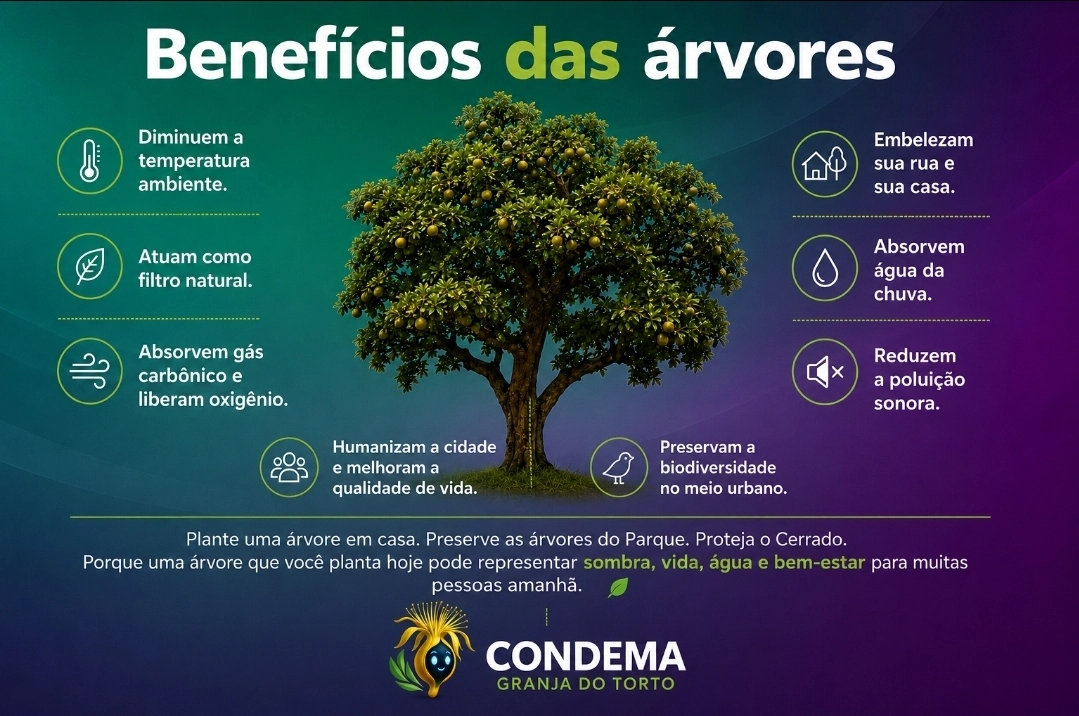 PRESERVAÇÃO DAS ÁRVORES CONTRIBUI PARA QUALIDADE DE VIDA E PROTEÇÃO DO CERRADO