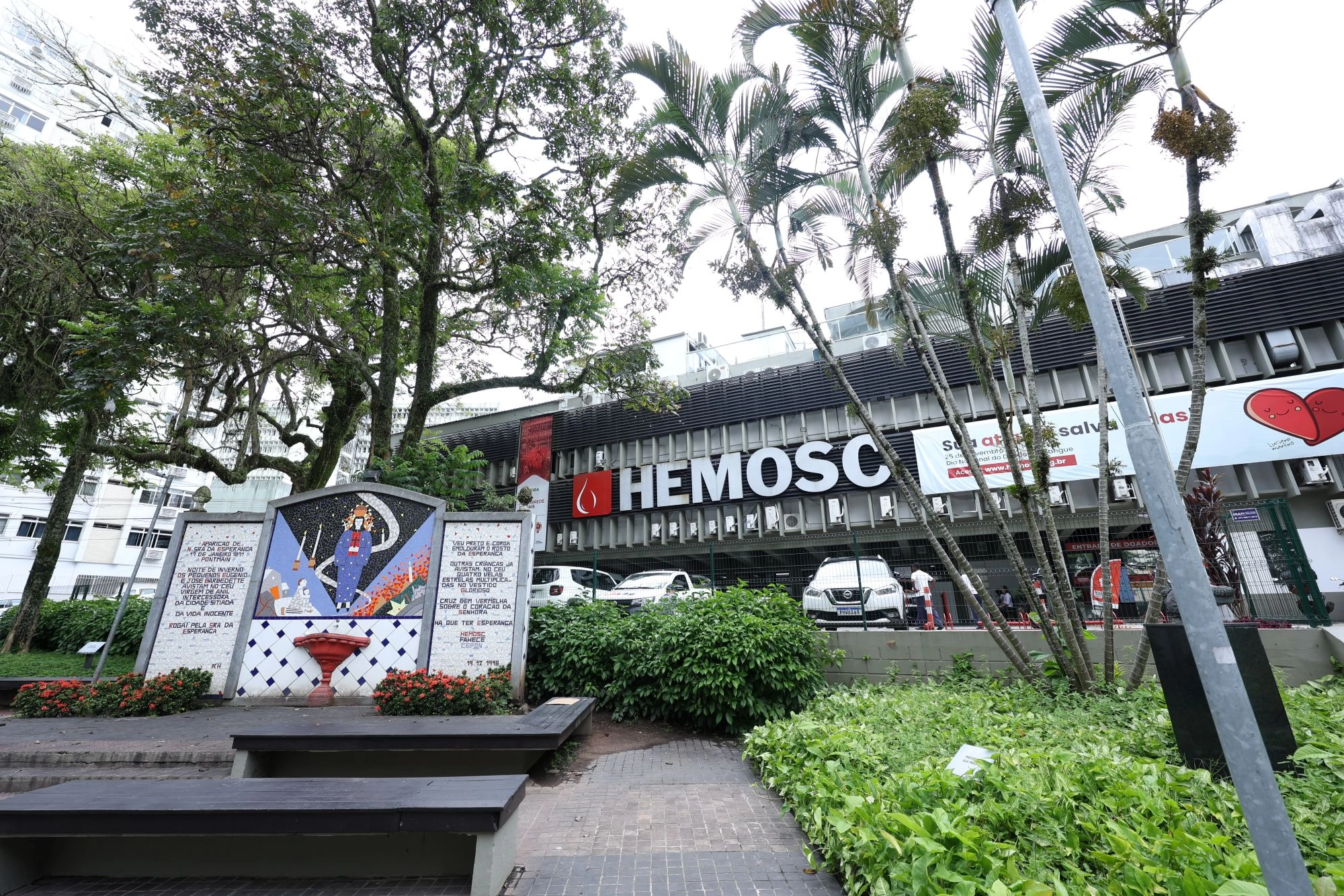 HEMOSC promove fórum internacional em Florianópolis para debater inovação e gestão do sangue