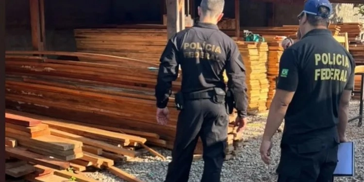 Polícia Federal realiza operação contra comércio ilegal de madeira nativa em Minas Gerais e Goiás
