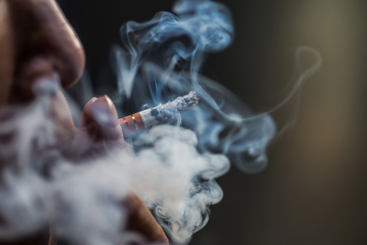 Fumo passivo pode causar câncer e outras doenças graves em pets