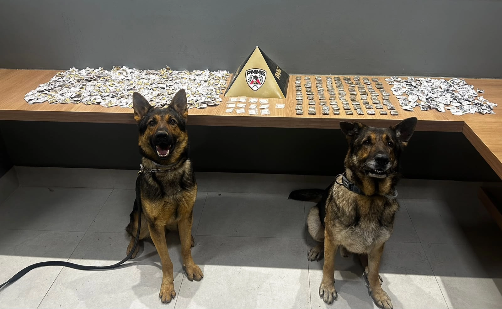Polícia apreende mais de 2,5 mil porções de drogas em ações no distrito de Alegria, em Simonésia