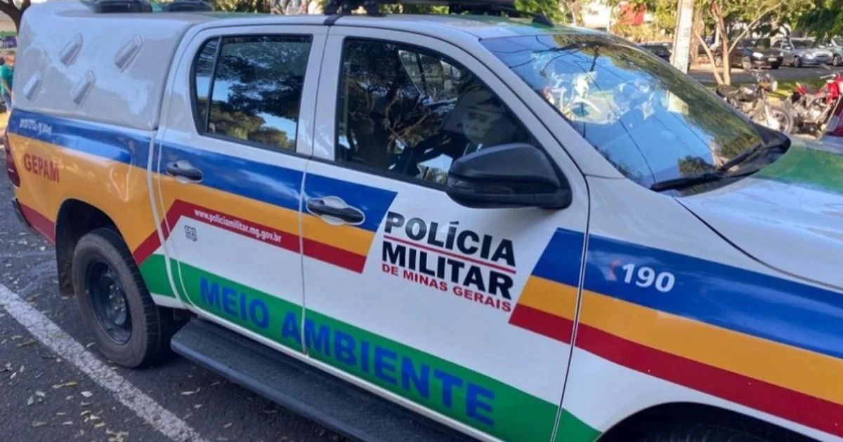 PM Ambiental aplica mais de R$ 423 mil em multas na Zona da Mata