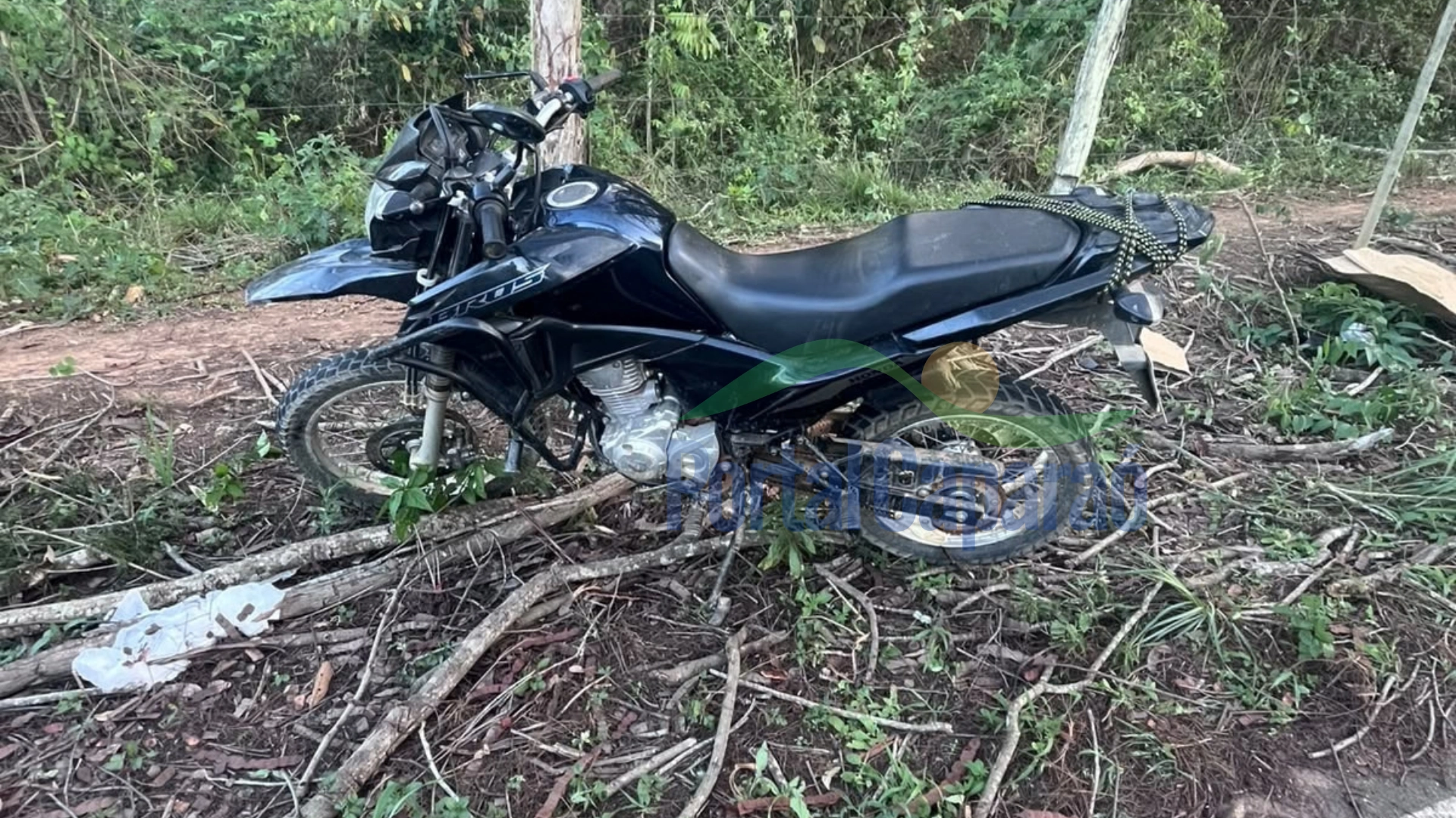Árvore cai sobre motocicleta e deixa duas mulheres gravemente feridas na MG-111