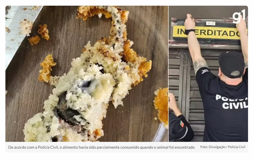 Dona de confeitaria é presa após cliente encontrar rato morto dentro de bolo em Porto Alegre
